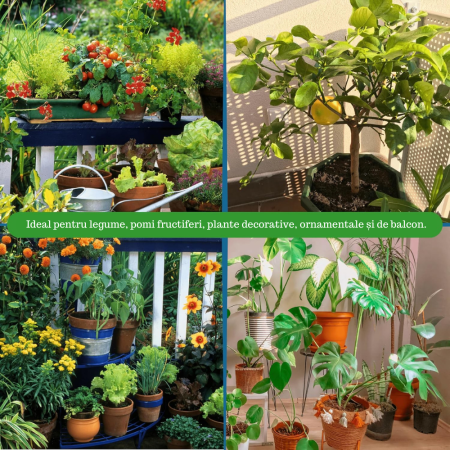 Fier pentru Plante Chelatat – Acțiune rapidă împotriva clorozei și îngălbenirii, ideal pentru legume, plante ornamentale și pomi fructiferi [2]