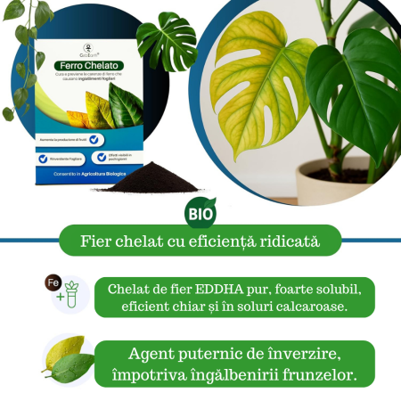 Fier pentru Plante Chelatat – Acțiune rapidă împotriva clorozei și îngălbenirii, ideal pentru legume, plante ornamentale și pomi fructiferi [4]
