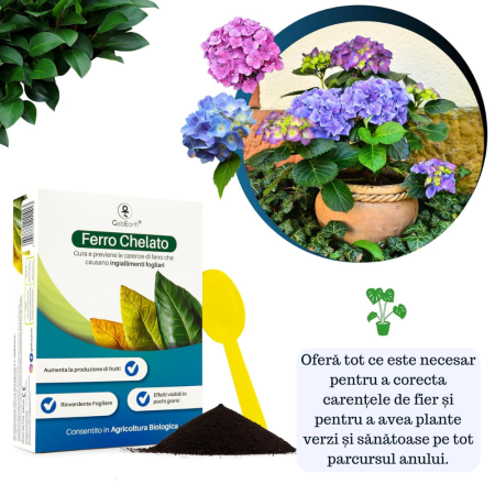 Fier pentru Plante Chelatat – Acțiune rapidă împotriva clorozei și îngălbenirii, ideal pentru legume, plante ornamentale și pomi fructiferi [8]