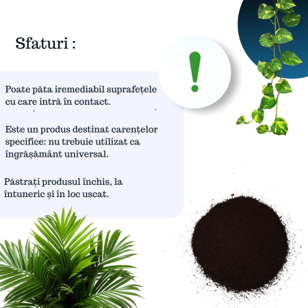 Fier pentru Plante Chelatat – Acțiune rapidă împotriva clorozei și îngălbenirii, ideal pentru legume, plante ornamentale și pomi fructiferi [7]