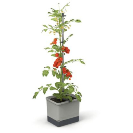 Produse EmagMarketplace - Ghiveci de gradina Tom tomato pentru gradina de bucatarie interioara si exterioara, Gri