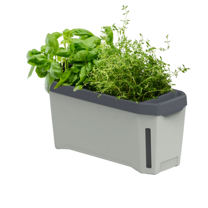 Ghivece - Ghiveci ierburi cu 4 opțiuni de cultivare - autoudare - HARRY HERBS
