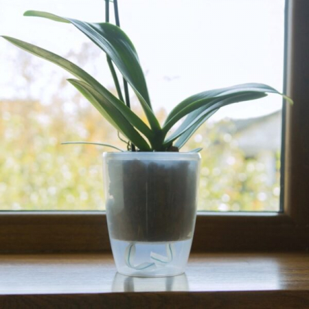*Orhidee* - Ghiveci ORCHIDEA TWIN Transparent