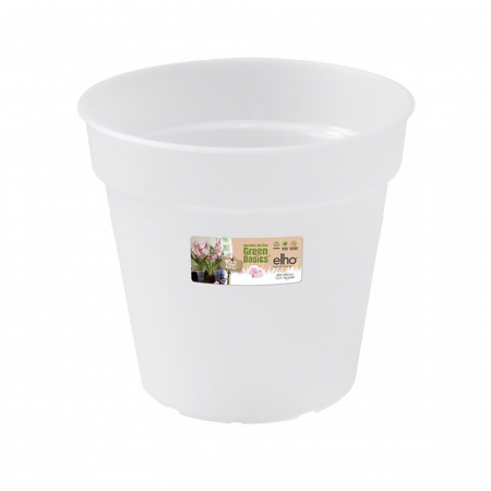 Plante Ornamentale - Ghiveci Transparent 13 cm Green Basic