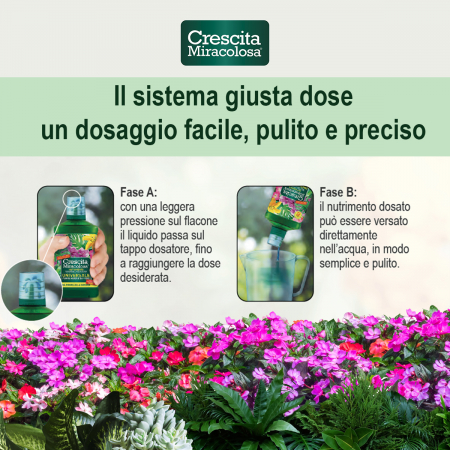 Ingrasamant Orhidee 200 ml Crescita Miracolosa [1]