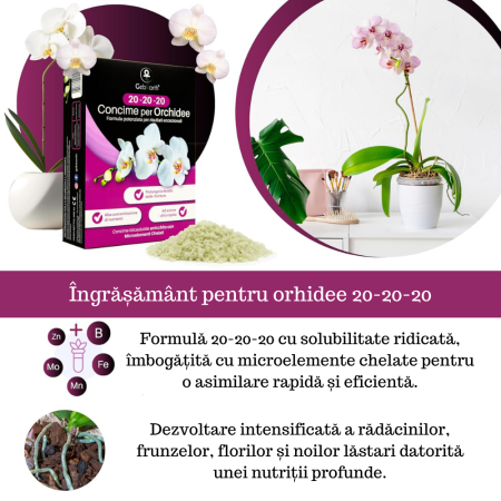 Îngrășământ orhidee solubil -  NPK 20-20-20 – Creștere și înflorire [1]