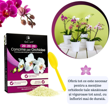 Îngrășământ orhidee solubil -  NPK 20-20-20 – Creștere și înflorire [6]