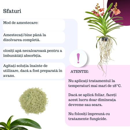 Îngrășământ orhidee solubil -  NPK 20-20-20 – Creștere și înflorire [5]