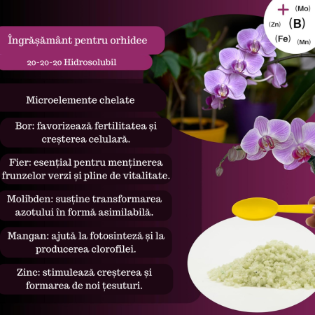 Îngrășământ orhidee solubil -  NPK 20-20-20 – Creștere și înflorire [3]