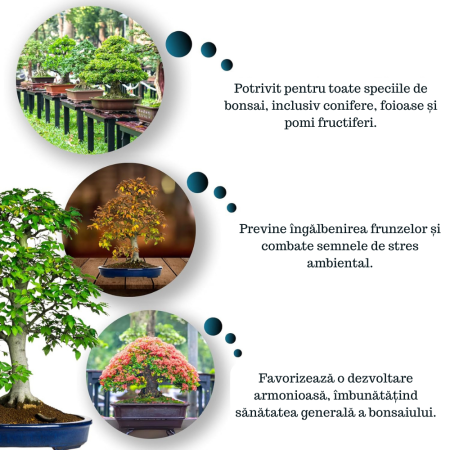 Ingrasamant pentru Bonsai GebEarth® 500 ml, Continut ridicat de nutrienti specifici pentru bonsai, Intareste radacinile si stimuleaza producerea de frunze noi la toate tipurile de arbori bonsai [3]