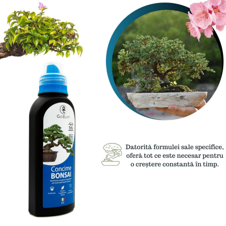 Ingrasamant pentru Bonsai GebEarth® 500 ml, Continut ridicat de nutrienti specifici pentru bonsai, Intareste radacinile si stimuleaza producerea de frunze noi la toate tipurile de arbori bonsai [5]