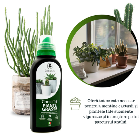 Ingrasamant pentru cactusi si suculente GebEarth 500 ml, Micronutrienti pentru suculente sanatoase si viguroase, Sustinere a radacinilor si rezistenta la stres pentru suculente si cactusii [6]