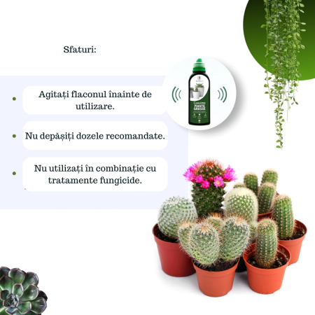 Ingrasamant pentru cactusi si suculente GebEarth 500 ml, Micronutrienti pentru suculente sanatoase si viguroase, Sustinere a radacinilor si rezistenta la stres pentru suculente si cactusii [5]
