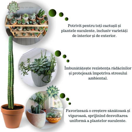 Ingrasamant pentru cactusi si suculente GebEarth 500 ml, Micronutrienti pentru suculente sanatoase si viguroase, Sustinere a radacinilor si rezistenta la stres pentru suculente si cactusii [1]