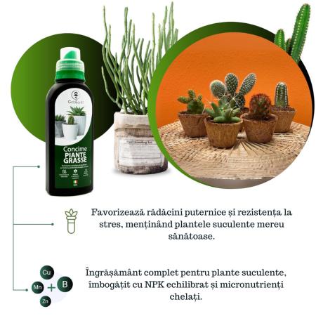 Ingrasamant pentru cactusi si suculente GebEarth 500 ml, Micronutrienti pentru suculente sanatoase si viguroase, Sustinere a radacinilor si rezistenta la stres pentru suculente si cactusii [2]