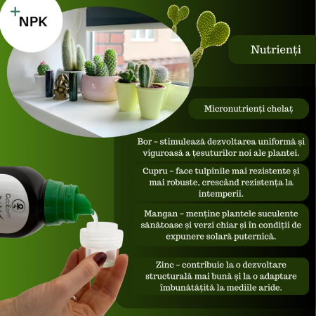 Ingrasamant pentru cactusi si suculente GebEarth 500 ml, Micronutrienti pentru suculente sanatoase si viguroase, Sustinere a radacinilor si rezistenta la stres pentru suculente si cactusii [3]