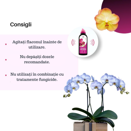 Ingrasamant pentru orhidee GebEarth® 500 ml, bogat in microelemente chelatate, stimuleaza si prelungeste inflorirea orhideelor [3]