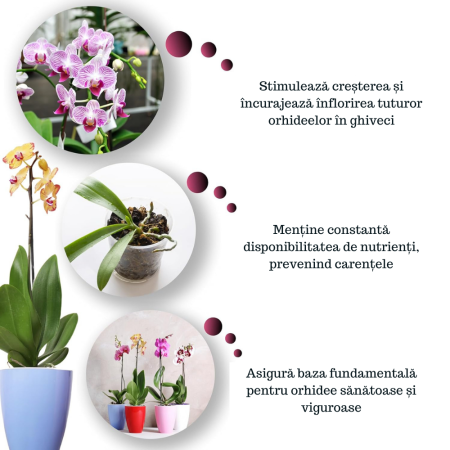 Ingrasamant pentru orhidee GebEarth® 500 ml, bogat in microelemente chelatate, stimuleaza si prelungeste inflorirea orhideelor [1]