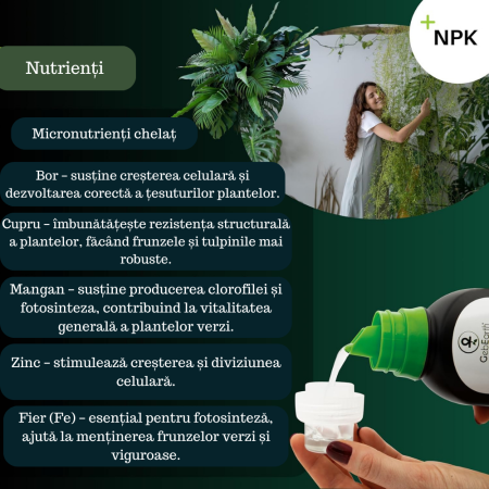 Ingrasamant pentru plante ornamentale verzi GebEarth 500 ml, Ingrasamant perfect pentru Monstera, Ficus, Pothos si toate tipurile de plante verzi, Formula anti-ingalbenire a frunzelor, imbogatita cu f [4]