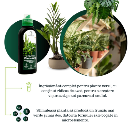 Ingrasamant pentru plante ornamentale verzi GebEarth 500 ml, Ingrasamant perfect pentru Monstera, Ficus, Pothos si toate tipurile de plante verzi, Formula anti-ingalbenire a frunzelor, imbogatita cu f [1]
