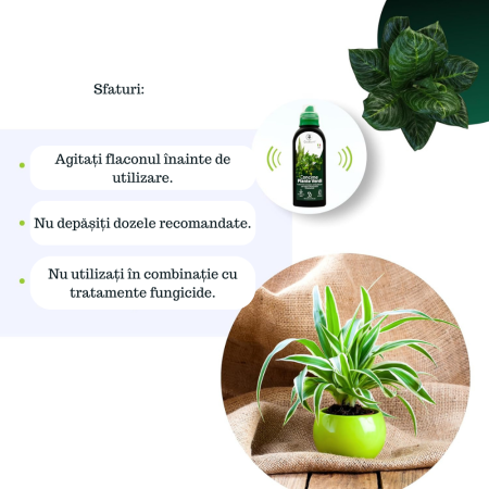 Ingrasamant pentru plante ornamentale verzi GebEarth 500 ml, Ingrasamant perfect pentru Monstera, Ficus, Pothos si toate tipurile de plante verzi, Formula anti-ingalbenire a frunzelor, imbogatita cu f [5]