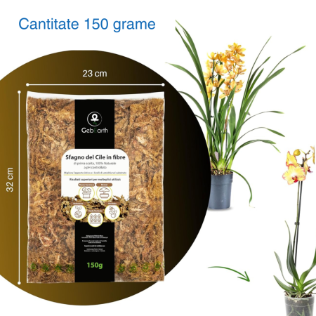 Muschi Sphagnum din Cile in fibre 150g [1]