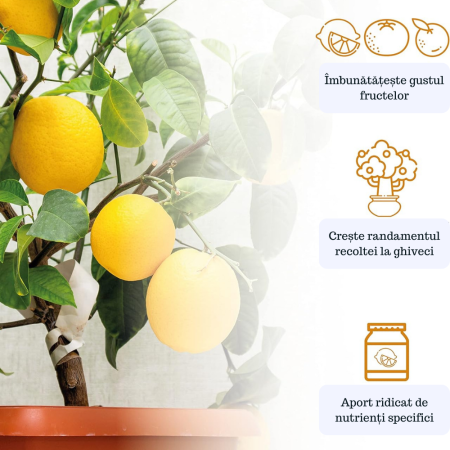 Pamant pentru citrice la ghiveci, 10 litri – special pentru lamai, portocali, bergamote si intreaga familie de plante citrice si mediteraneene Formula cu argila montmorillonitica [4]