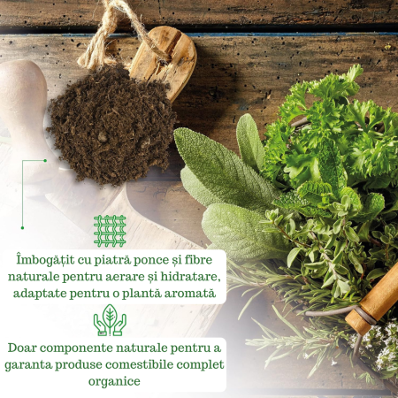 Pamant pentru Plante Aromatice - 3L - GebEarth [3]