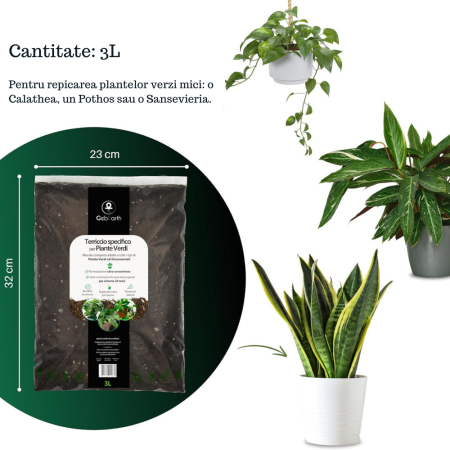 Pamant pentru plante verzi Ideal pentru Monstera, Pothos, Dracaena si toate tipurile de plante verzi. Hrana de durata si crestere sanatoasa [5]