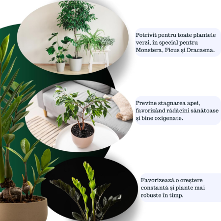 Pamant pentru plante verzi Ideal pentru Monstera, Pothos, Dracaena si toate tipurile de plante verzi. Hrana de durata si crestere sanatoasa [3]