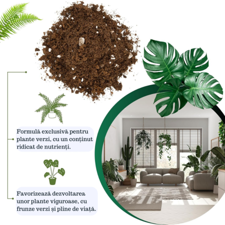 Pamant pentru plante verzi Ideal pentru Monstera, Pothos, Dracaena si toate tipurile de plante verzi. Hrana de durata si crestere sanatoasa [4]