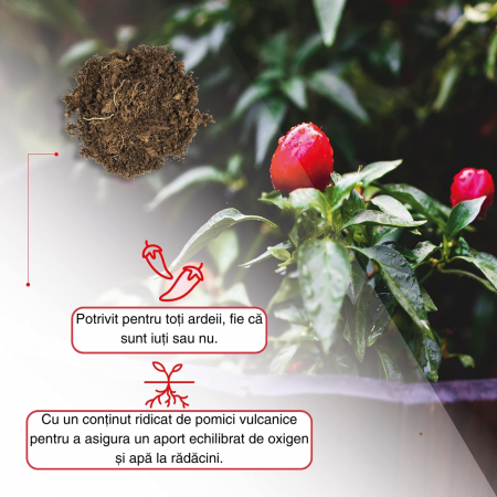 Pământ Ardei Iute Profesional, Substrat pentru Semănat Ardei Iuți, Potrivit pentru întreaga fază de viață a plantei Crește randamentul și iuțeala ardeilor [3]
