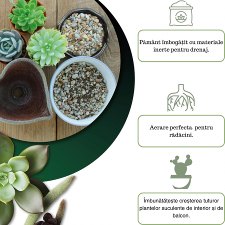Pământ Cactuși si Suculente Profesional Substrat Ideal pentru Cactaceae și Alte Suculente de Interior [1]