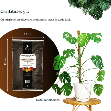 Pământ Universal Proteic  – Nutrire Graduală până la 24 luni, pentru Plante în Ghiveci [2]