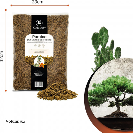 Piatra Pumice 3L Pomice [4]