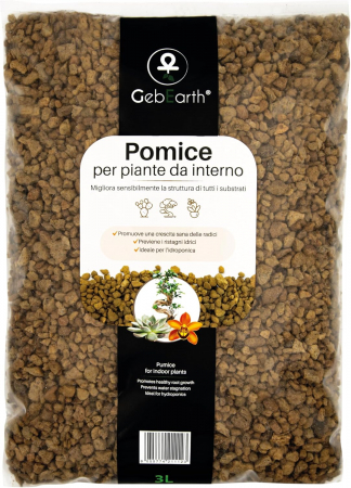 Pamant/Substrat - Piatra Pumice 3L Pomice