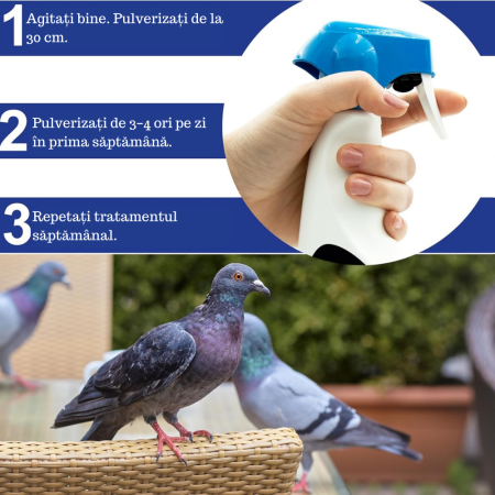 Repelent pentru porumbei 1 L  Dezobișnuitor pentru porumbei, barieră vegetală olfactivă anti-porumbei și pescăruși pentru balcon, terasă și grădină [5]