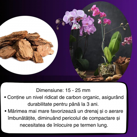 Scoarță Orhidee MARE 1,5-2cm - Mulci - 3L [4]
