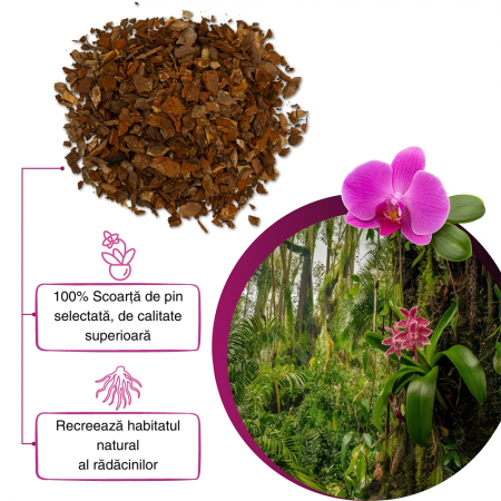 Set Orhidee - Pământ Orhidee 3L + Permit 3L [1]