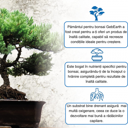 Pământ Bonsai Profesional  - Substrat pentru Rădăcini Mai Puternice și Aerare Optimă [1]