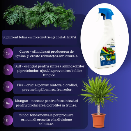 Spray Cupru si Sulf pentru Plante 1L, GebEarth, protejeaza impotriva ingalbenirii si bolilor fungice [5]