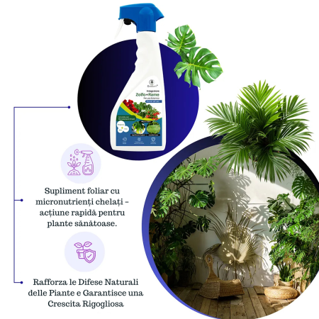 Spray Cupru si Sulf pentru Plante 1L, GebEarth, protejeaza impotriva ingalbenirii si bolilor fungice [6]