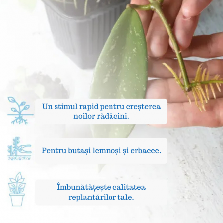 Stimulator de Inradacinare concentrat - 50g [3]