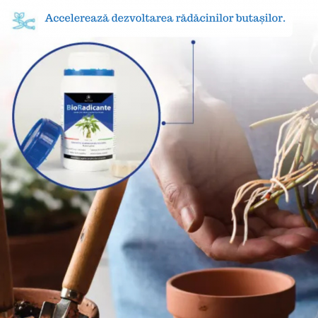 Stimulator de Inradacinare concentrat - 50g [1]