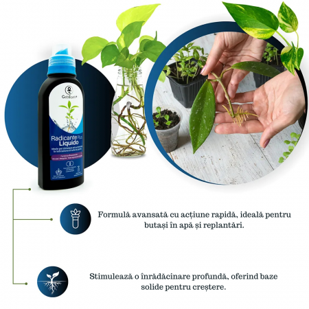 Stimulator de Inradacinare lichid - 500ml - [1]