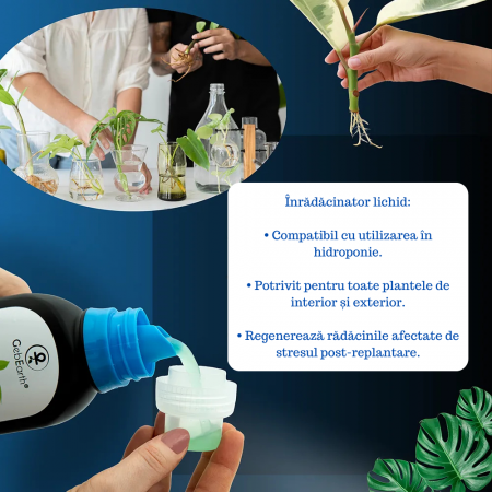 Stimulator de Inradacinare lichid - 500ml - [2]