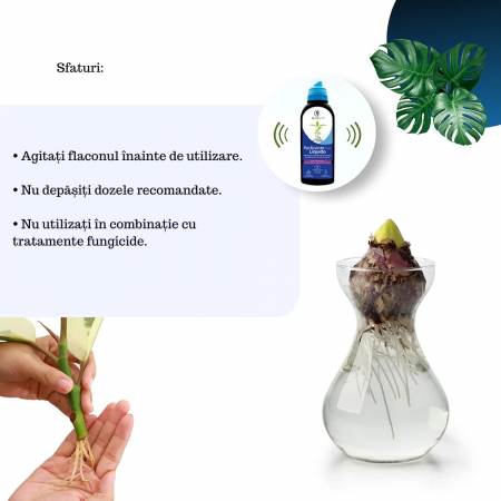 Stimulator de Inradacinare lichid - 500ml - [5]