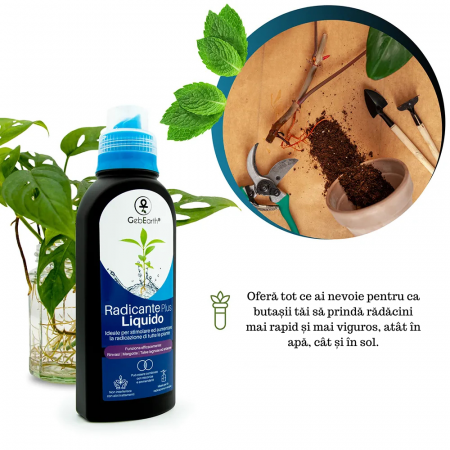 Stimulator de Inradacinare lichid - 500ml - [6]