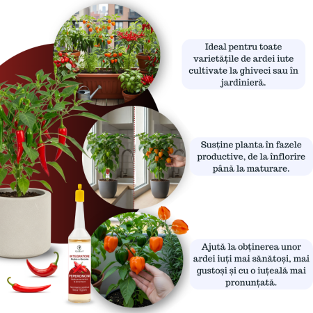 Supliment nutritiv prin picurare pentru ardei iute - Elixir [1]