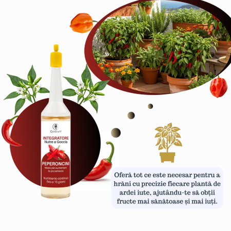 Supliment nutritiv prin picurare pentru ardei iute - Elixir [5]